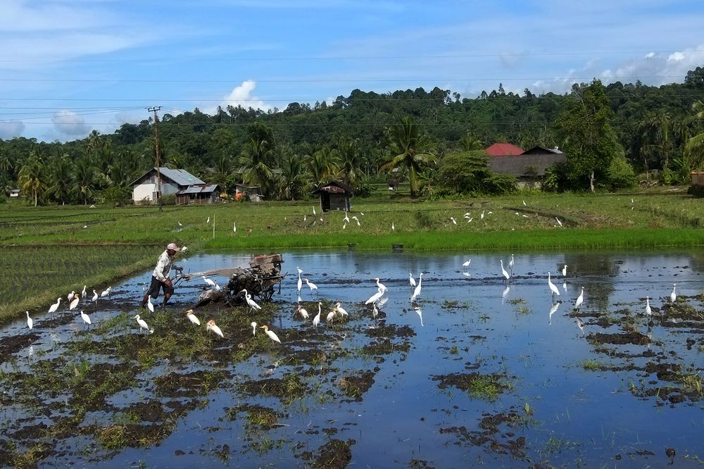 Photograph by Domi Yanto