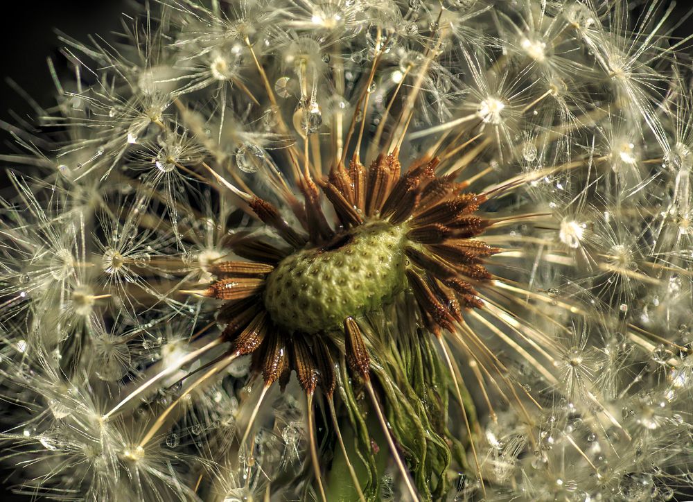 Photograph by Irène Landsjö