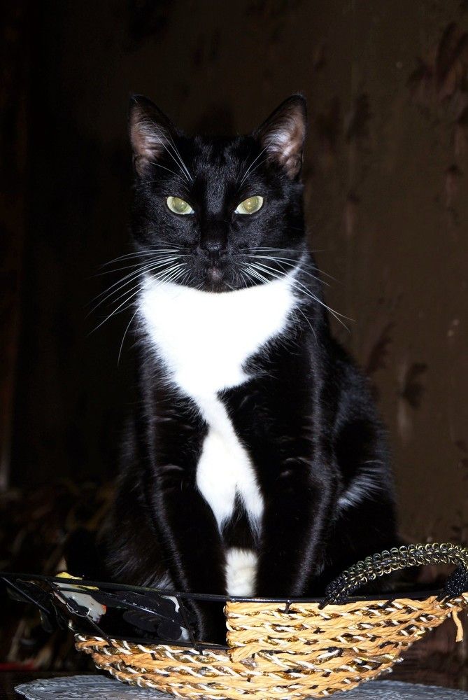 Photograph by Татьяна Масловская