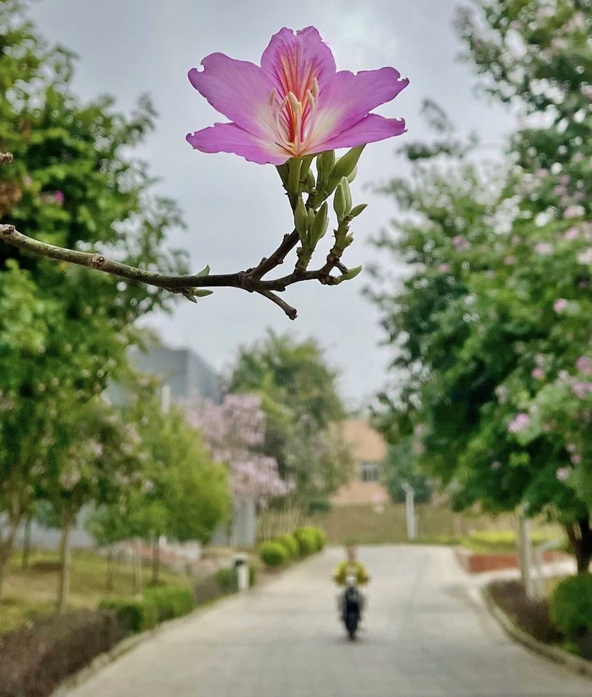 Photograph by Wang Li