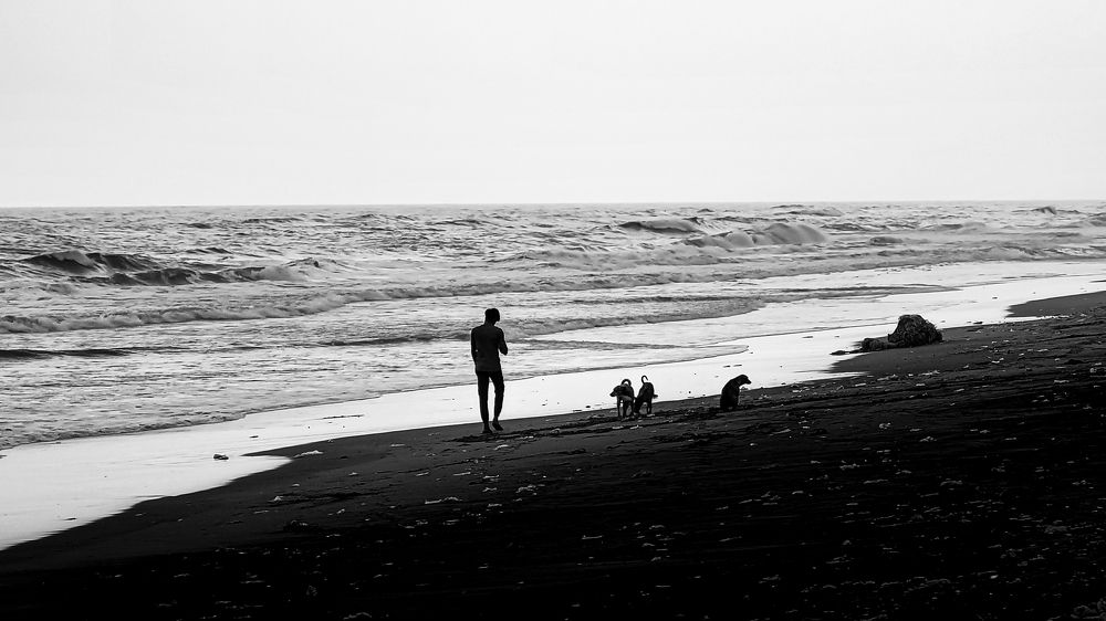 You are not Alone .