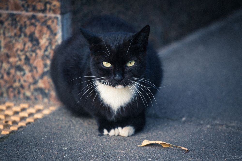 Photograph by Сергей Алексеев