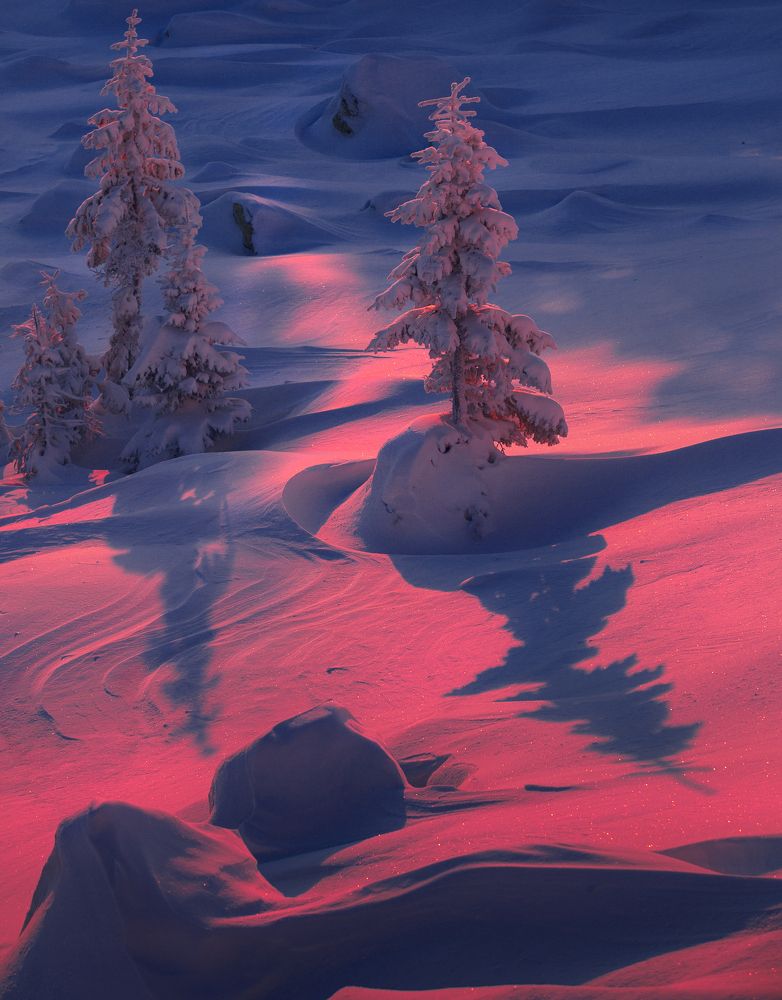 Photograph by Влад Макеенков