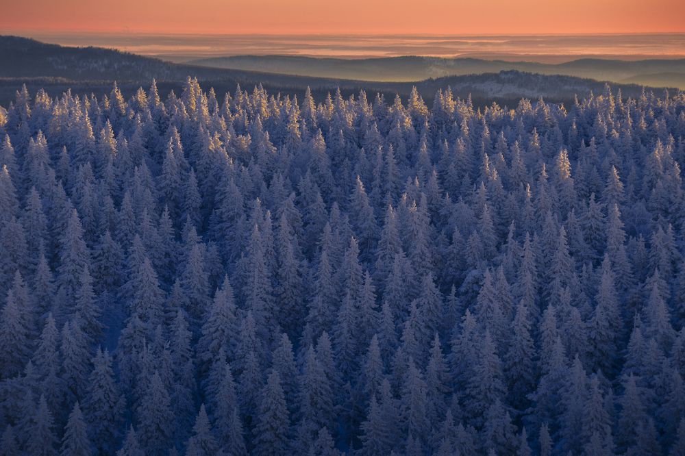 Photograph by Влад Макеенков
