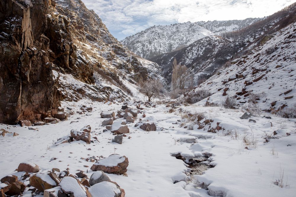 Photograph by Антон Андриянов