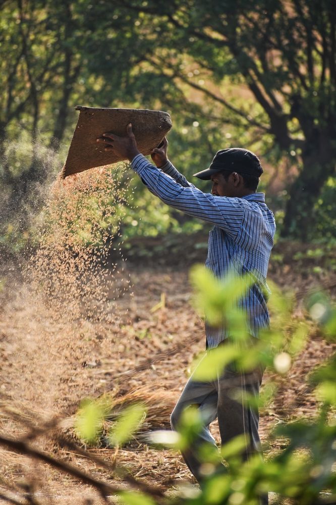 Photograph by Prasad Kumbhar