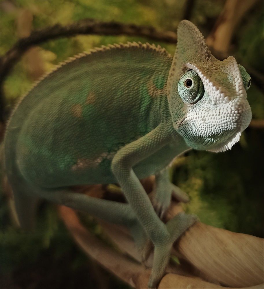 Photograph by Сергей Лобозов