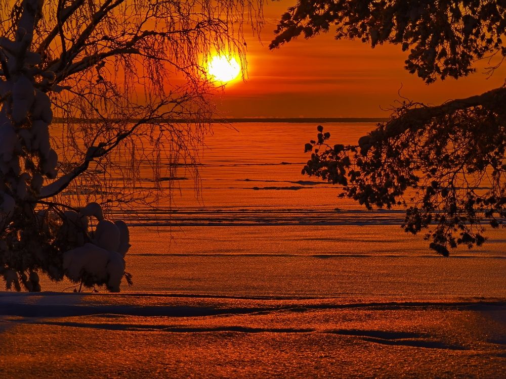 Photograph by Алексей Михайлов