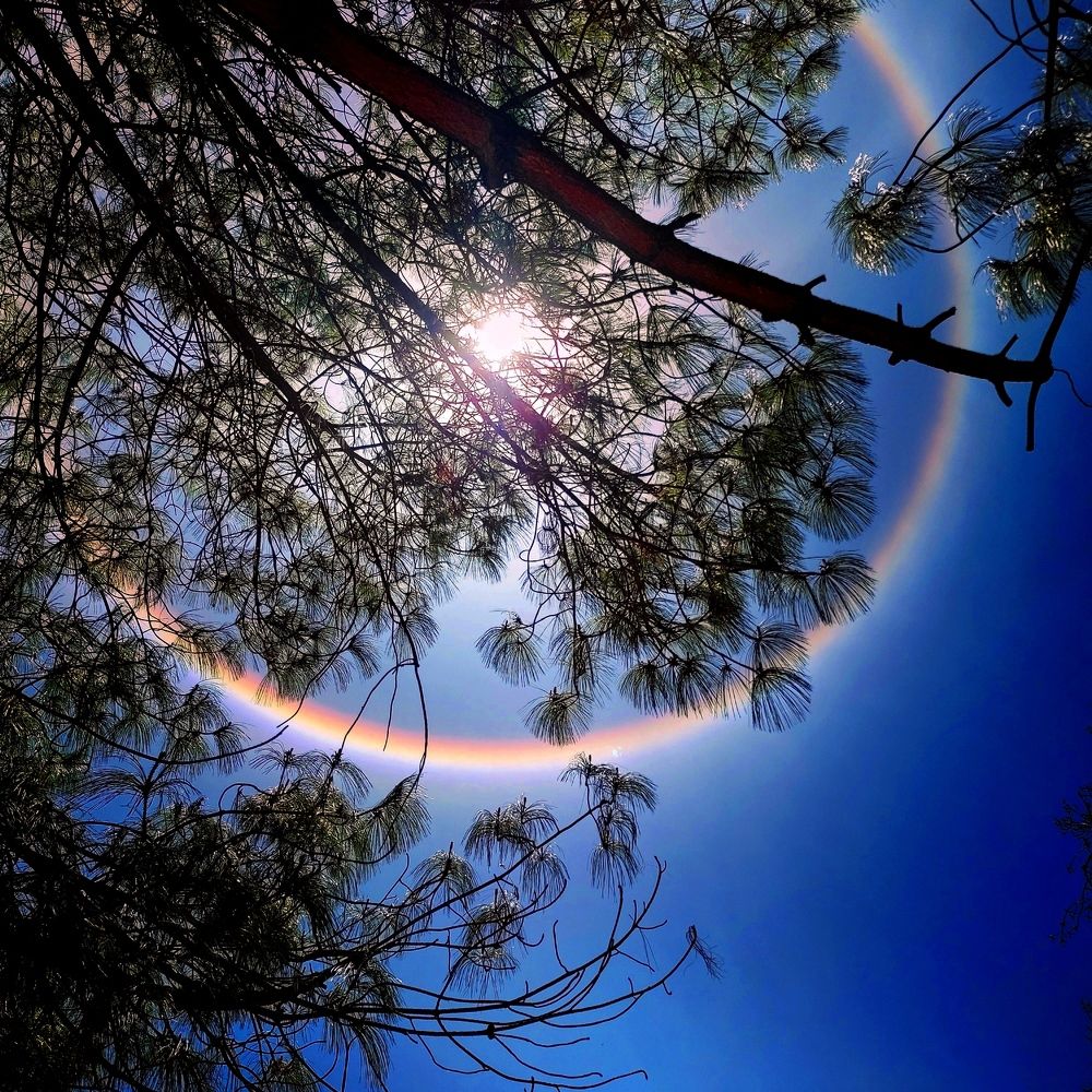 Photograph by Michelle Sheriff