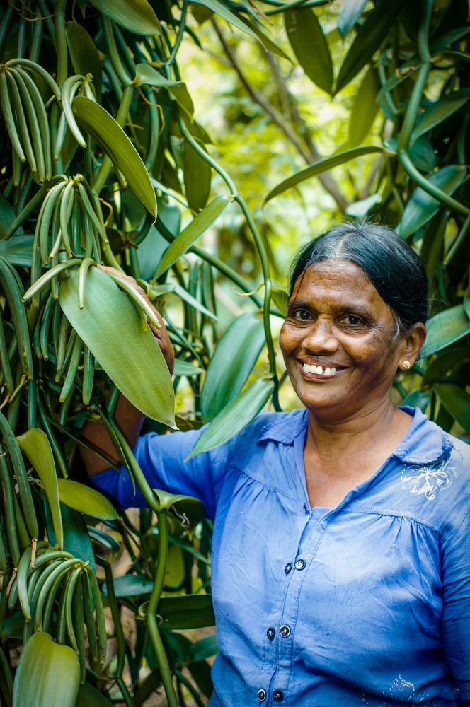 Photograph by Chanaka Weerasingha