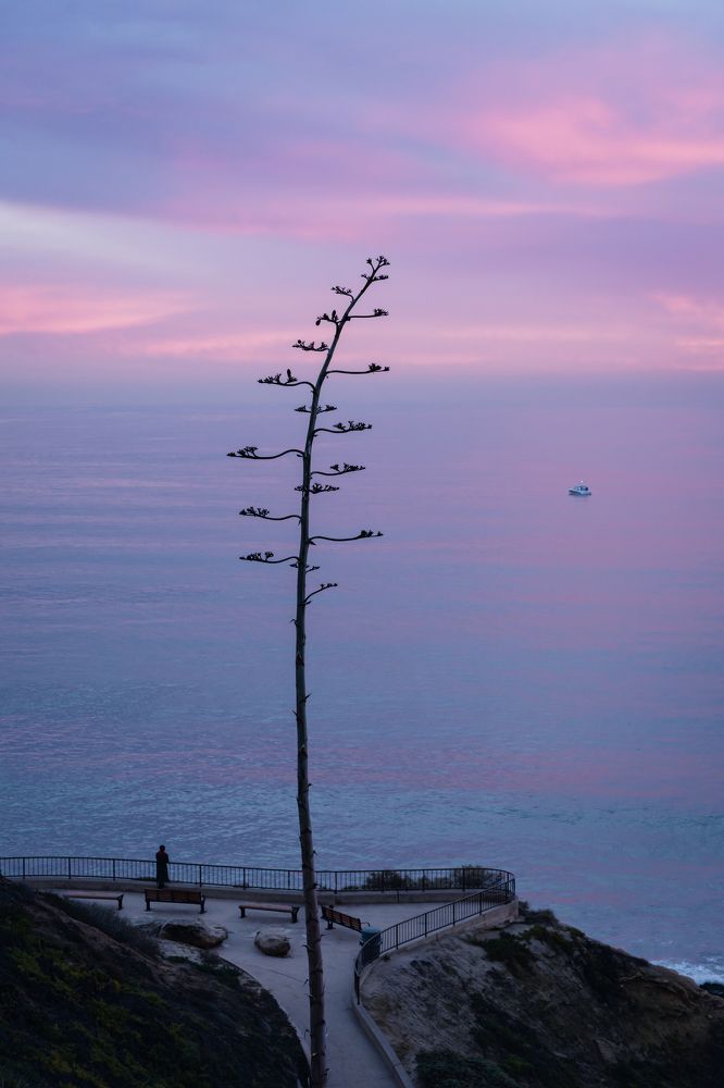 Photograph by Natalia