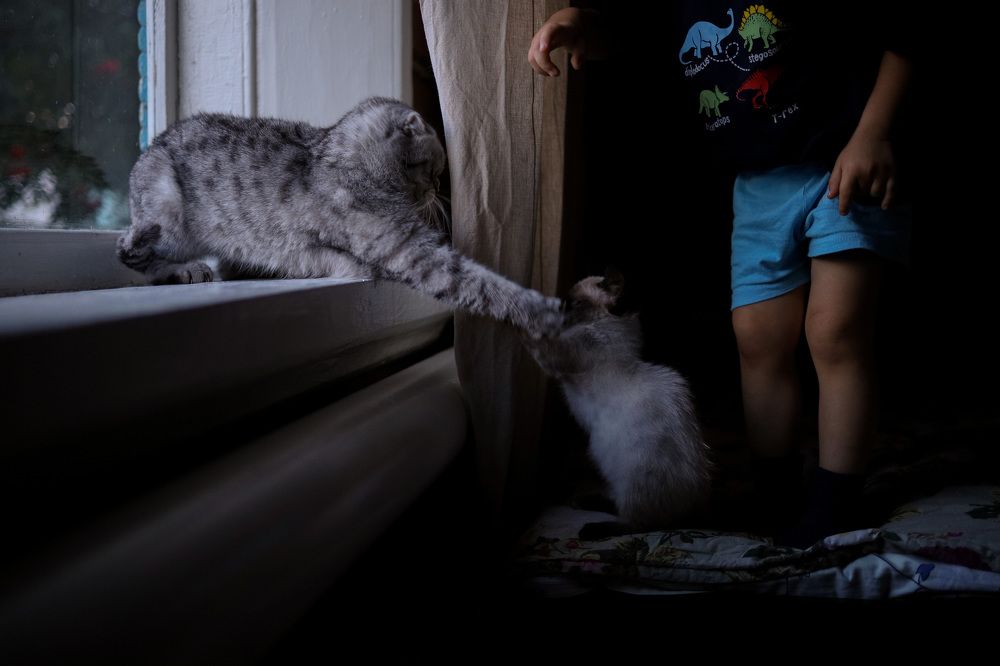 Photograph by Зульхиза Миндиахметова