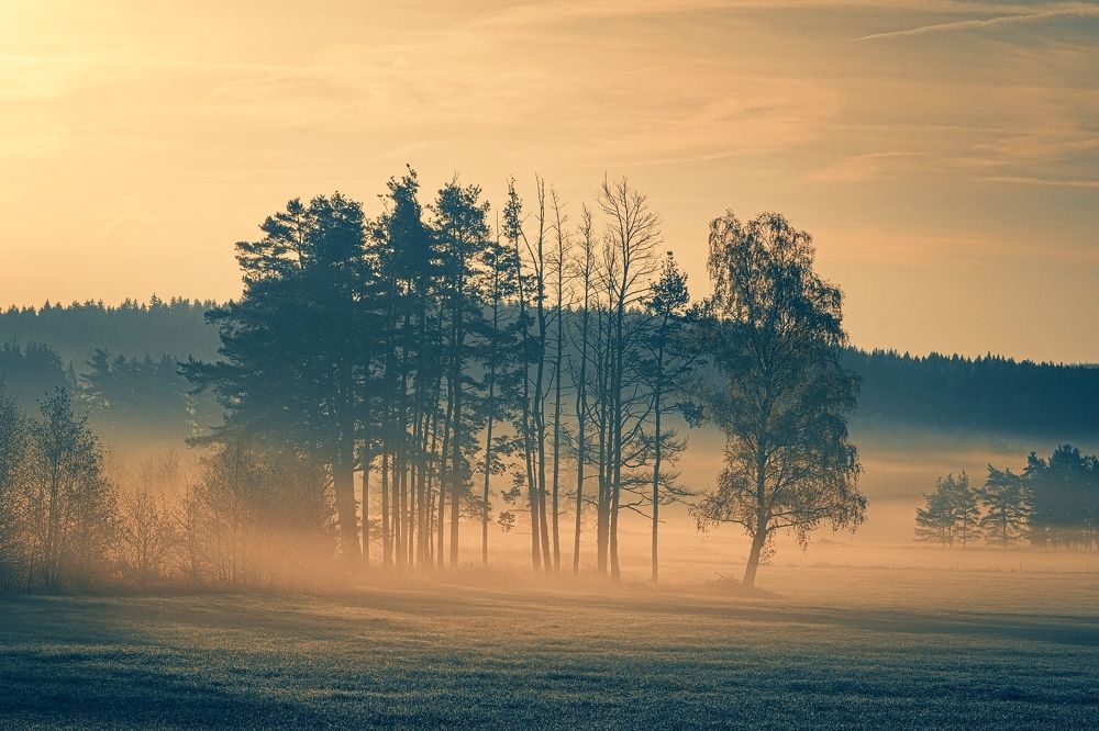 Photograph by Jan Musil