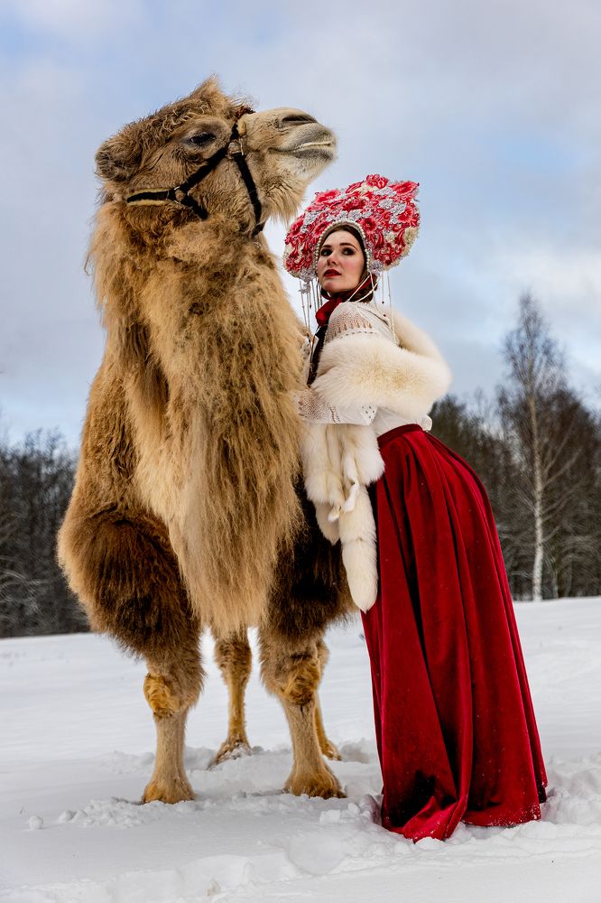 Фотография автора Ольга