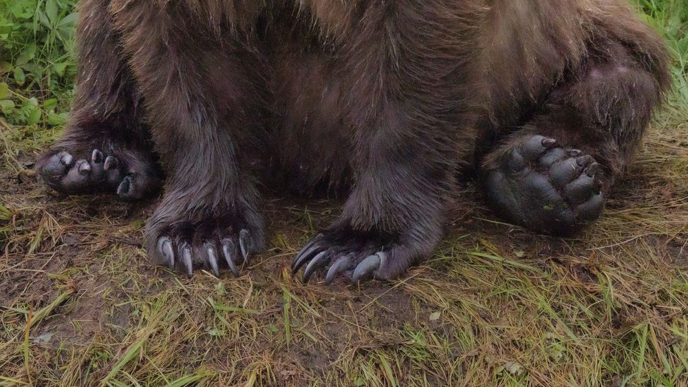 Фотография автора Cheryl B. Crumm