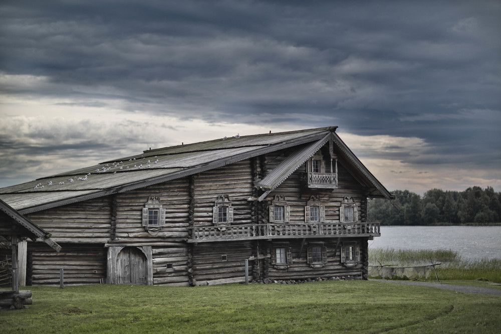 Фотография автора Дарья Могилевцева