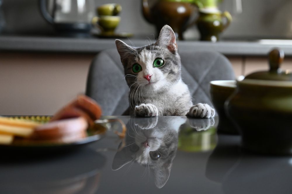 Photograph by Юрий Гау