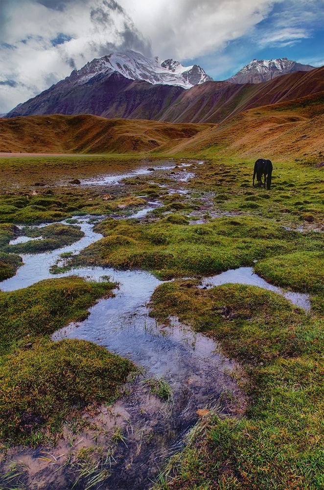 После дождя