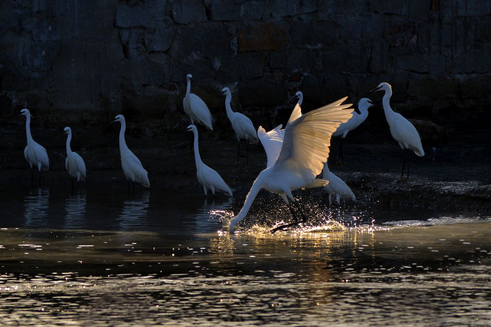 Photograph by Nguyen Quoc Huy
