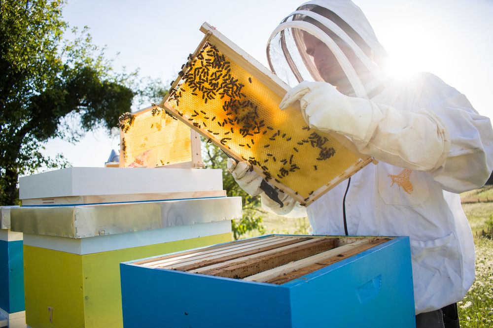 Photograph by Milovan Zrnic