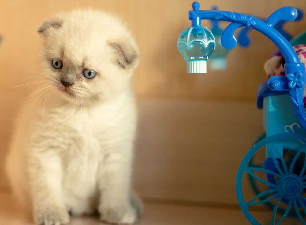 Photograph by Слава Юдин