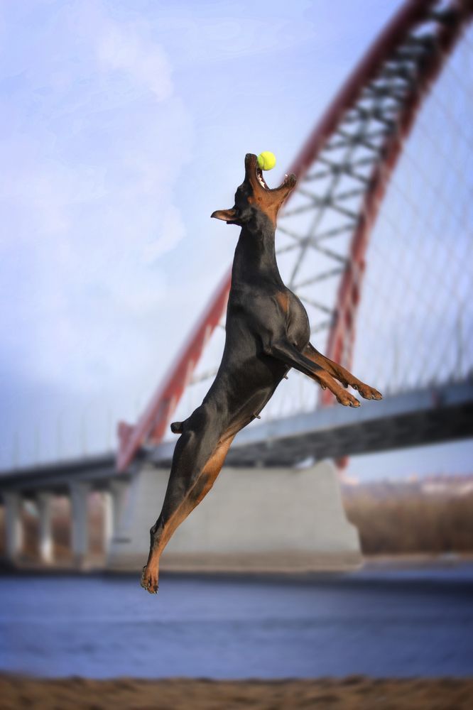 Photograph by Алена Райфутдинова