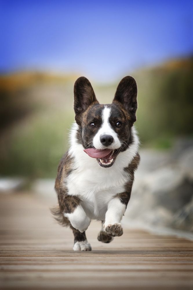 Photograph by Алена Райфутдинова