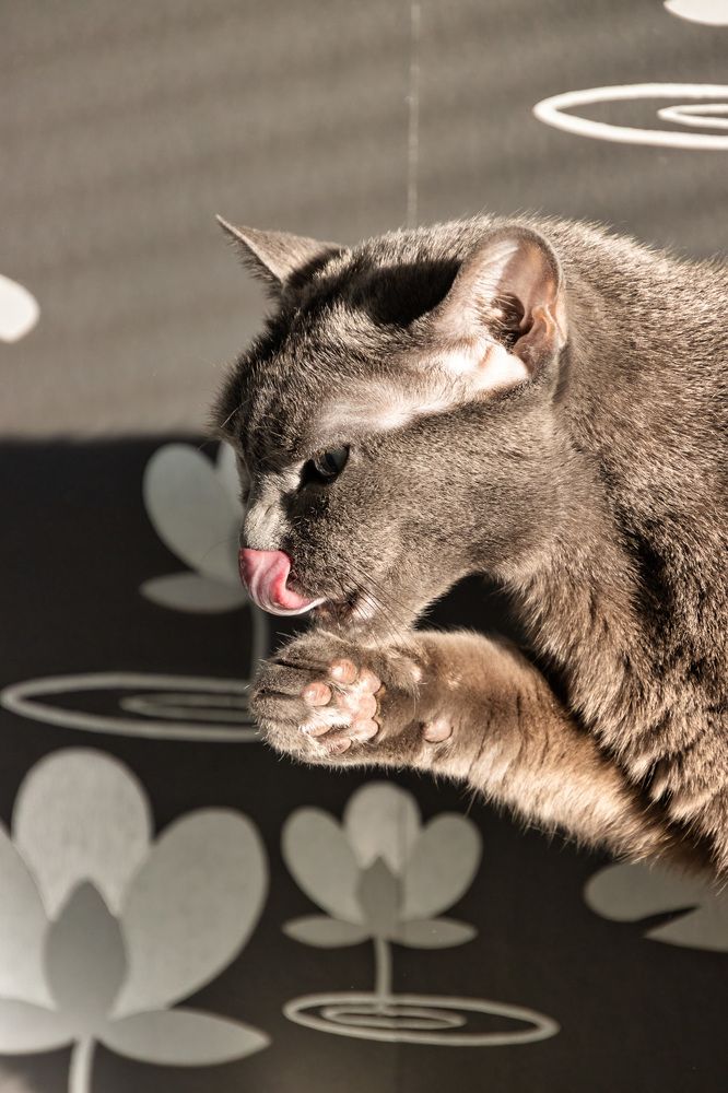 Фотография автора Lauri Yli-Huhtala