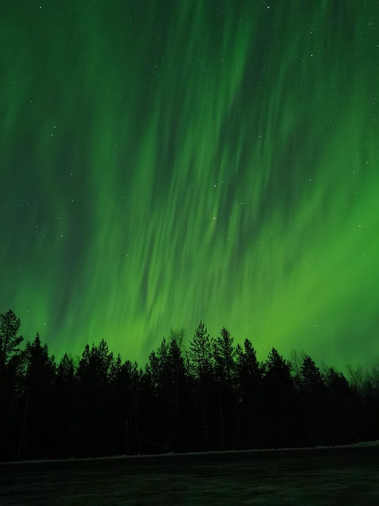 Photo #8925368