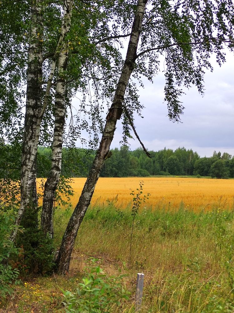 Photograph by Ирина Подлубная