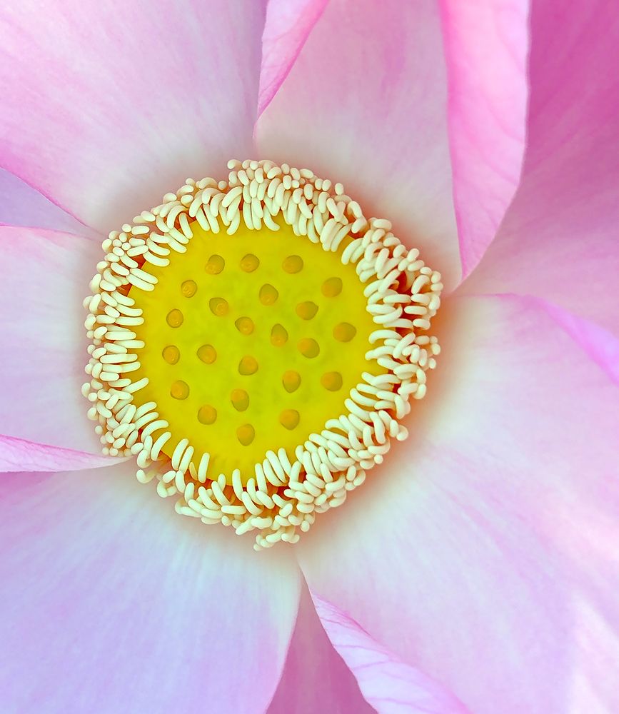 Photograph by Noor Azhar Abd Rasid