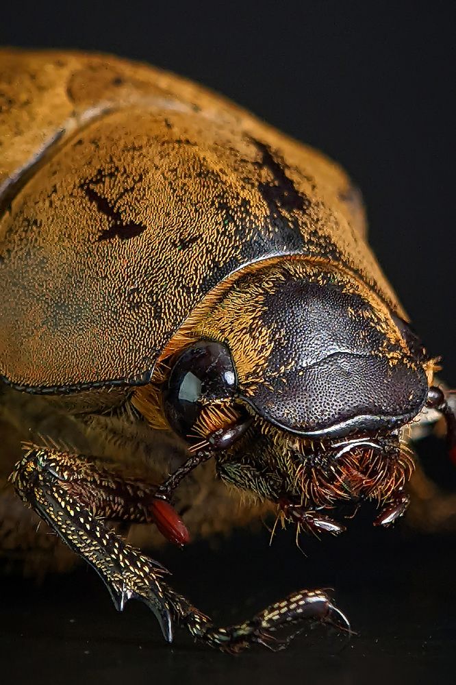 Photograph by Noor Azhar Abd Rasid