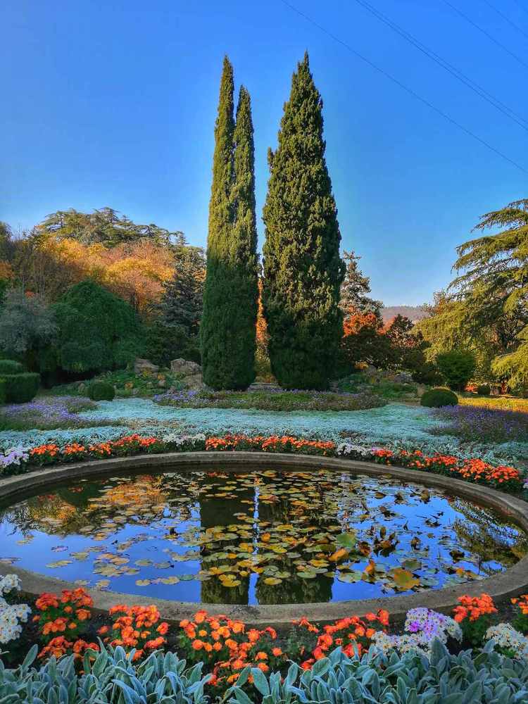 Фотография автора Маис Киракозов