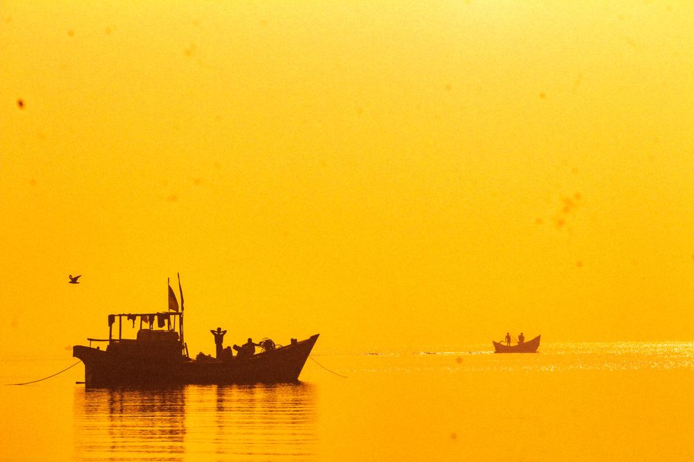 Photograph by Tahzid Ahsan