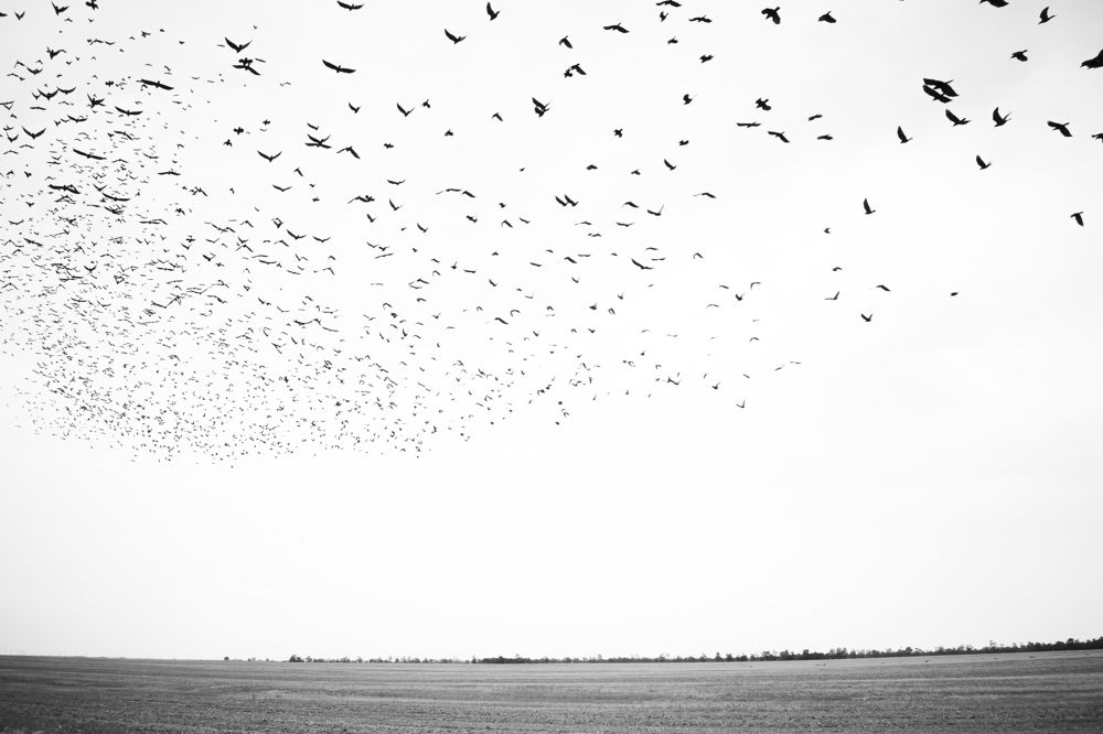 Photograph by Иван Пономарев