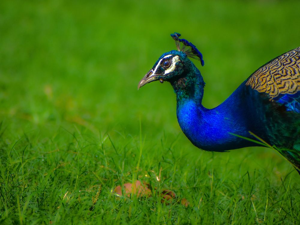 Photograph by Reyaansh Mittal