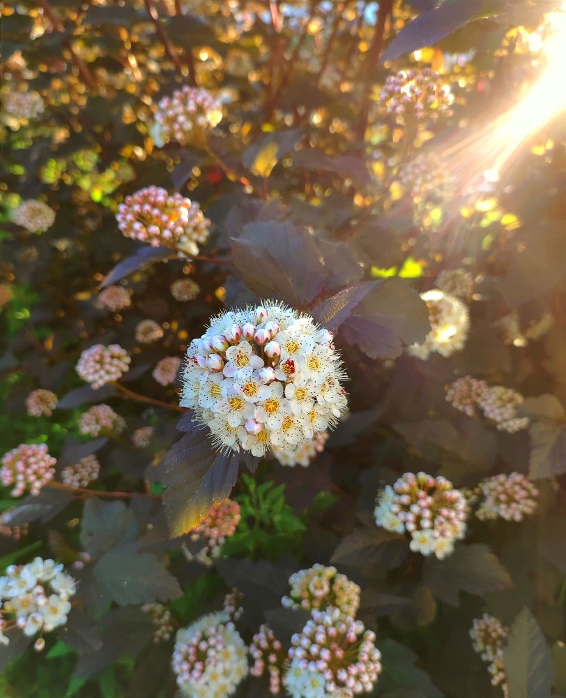 Photograph by Надежда