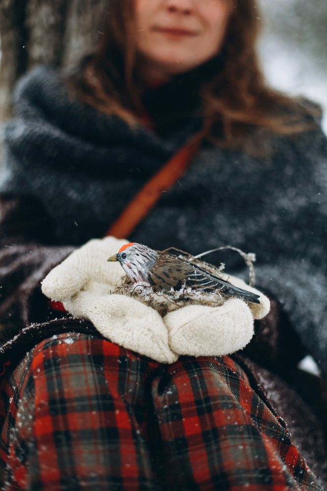 Фотография автора Ольга Анохина