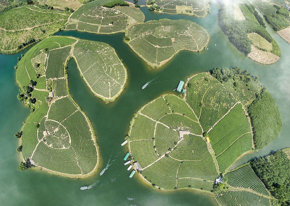 Photograph by NGUYEN HAI