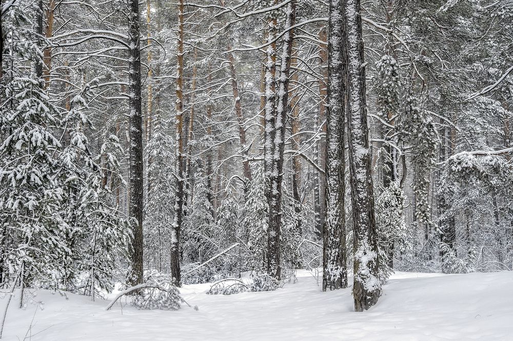 Photograph by АНДРЕЙ АБАКУМОВ