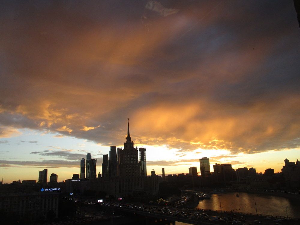 Photo #8925615