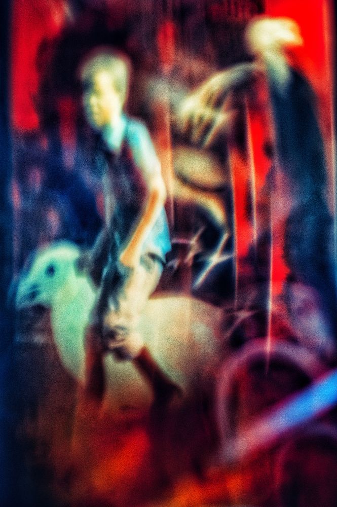 Мальчик, который завел цыпленка