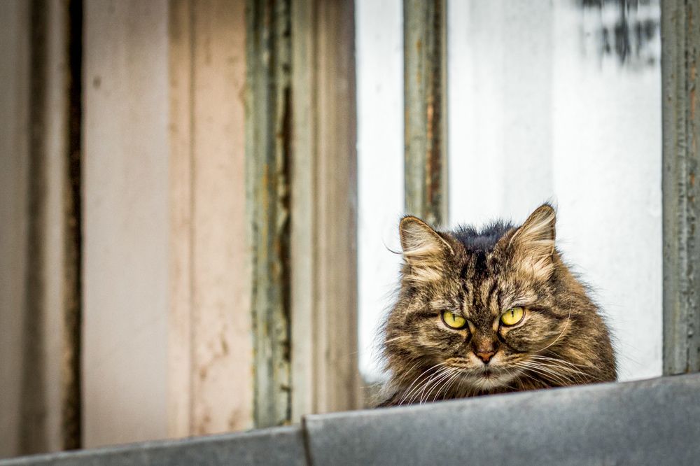 Photograph by Лора