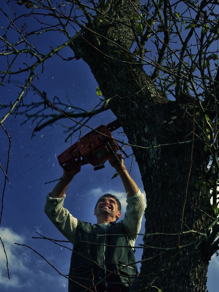 Photograph by Мария Бартош