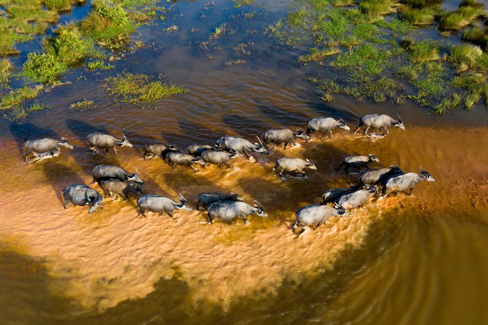 Photograph by Trần Văn Trường