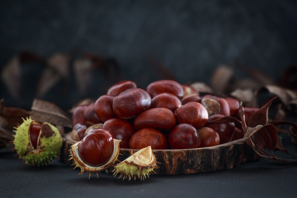 Photograph by Vasily Prokhorov