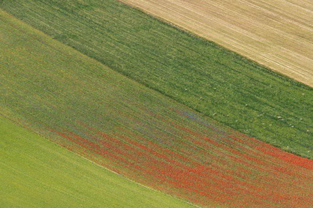 Photograph by Luana Luci