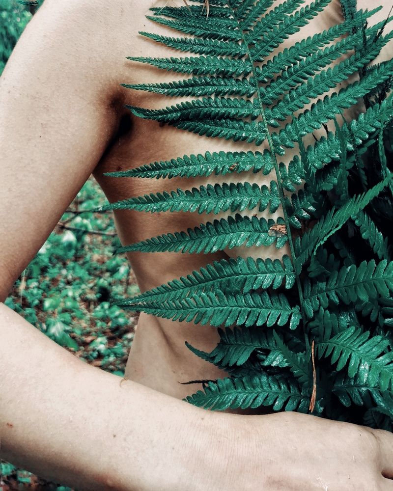 Photograph by Мария Бартош