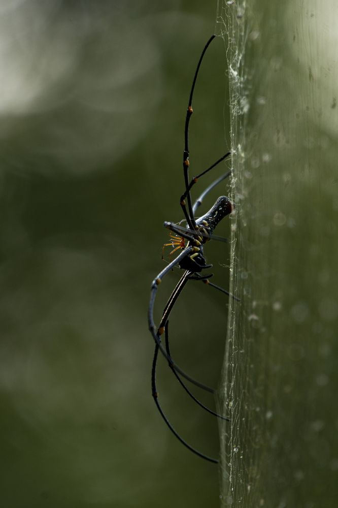 Photograph by Rupesh Shewale
