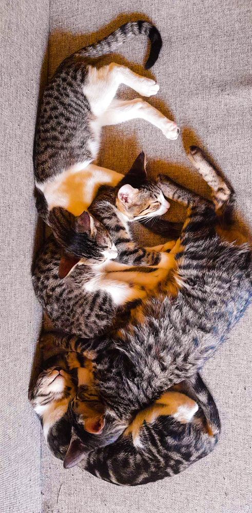 Photograph by AJAY KUMAR